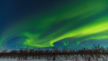 Kuzey ışığı, Kiruna 'nın etrafındaki orman üzerindeki Aurora Borealis. Laponya, İsveç 'in kuzeyi..