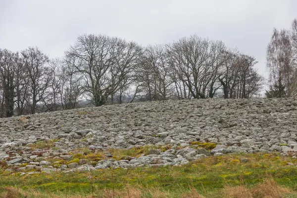 İsveç 'in Kivik kentindeki Kral mezarı bronz çağdan kalma. İskandinav bronz çağı.