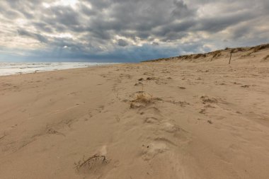 İsveç 'in güneyindeki Sandhammaren plajında dramatik bulutlu gökyüzü altında çimenli sahil kum tepeleri..