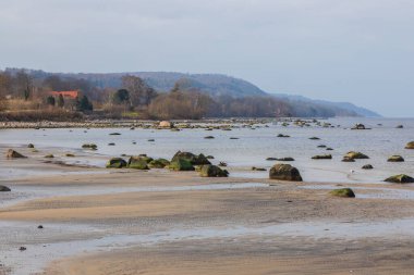 İsveç 'in Torekov kentindeki dağılmış kayaları ve kıyı köyü olan huzurlu kumlu bir sahil. Gökyüzü bulutlu ve sakin.