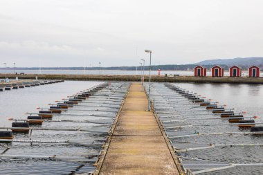 İsveç, Torekov 'da yüzen rıhtımları ve kırmızı kulübeleri olan boş bir marinanın simetrik görüntüsü.