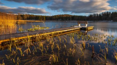 Polonya 'nın Okuniewo kentindeki ormanla çevrili durgun bir göl üzerinde ahşap iskele ve bank bulunan sakin bir bahar manzarası..