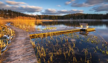 Polonya 'nın Okuniewo kentindeki ormanla çevrili durgun bir göl üzerinde ahşap iskele ve bank bulunan sakin bir bahar manzarası..