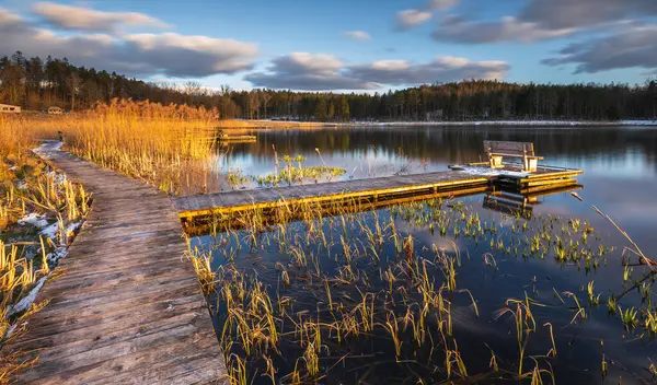 Polonya 'nın Okuniewo kentindeki ormanla çevrili durgun bir göl üzerinde ahşap iskele ve bank bulunan sakin bir bahar manzarası..