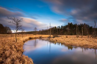 Kuzey Polonya 'daki Radunia bölgesinde gün batımında çimenli sulak alanlarda akan dolambaçlı nehir.