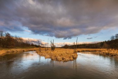 Kuzey Polonya 'daki Radunia bölgesinde gün batımında çimenli sulak alanlarda akan dolambaçlı nehir.