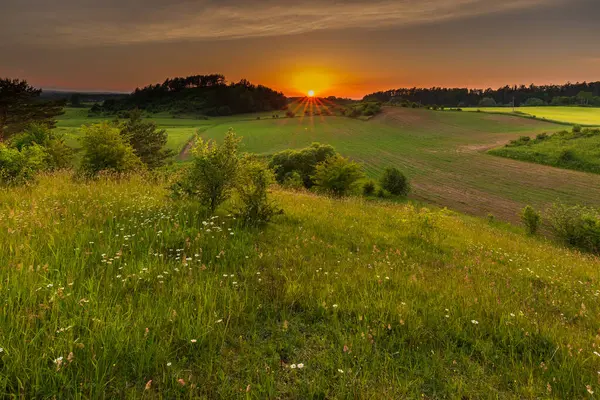 Masuria, Polonya 'da yeşil çayırlar, ağaçlar ve renkli günbatımı bulutlarının altında köy çatıları olan huzurlu kırsal alan..