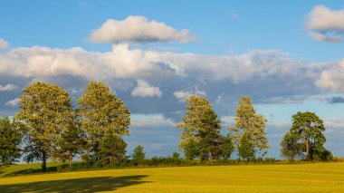 Kuzey Polonya, Wyczechowo 'da parçalı bulutlu bir gökyüzünün altında yeşil çayır ve sıralanmış ağaçlar..