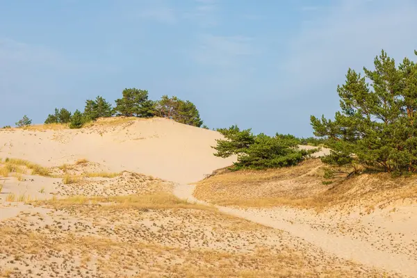 Karwia, Polonya 13 Eylül 2020: Baltık Denizi üzerinde toplanan fırtına bulutları insanlar boş sahil boyunca yürürken.