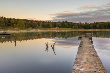 Polonya 'nın Okuniewo kentindeki sakin göl sahnesinde durgun suya uzanan ahşap bir iskele ve bir orman zemin..