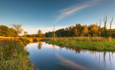 Polonya 'da ağaçlar ve çimenli bankalarla çevrili Radunia Nehri üzerinde altın saat ışığı.