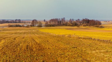 Polonya 'nın Biebrza bölgesindeki altın tarlalara ve orman hatlarına geniş bir bakış açısı. Erken bahar renkleri kırsal alana hakim..