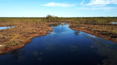 Estonya, Soomaa Ulusal Parkı 'ndaki doğal sulak arazi ve ormanla el değmemiş Kuresoo bataklığının insansız hava aracı görüntüleri..