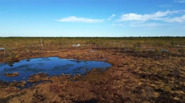 Estonya, Soomaa Ulusal Parkı 'ndaki doğal sulak arazi ve ormanla el değmemiş Kuresoo bataklığının insansız hava aracı görüntüleri..