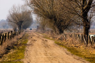 Biebrza, Polonya 27 Mart 2021: Çıplak ağaçlar ve çitlerle kaplı çamurlu kırsal bir yolda bir araba sürüyor.
