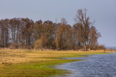 Polonya 'nın Biebrza kenti yakınlarında su basmış bir çayırın yanında iki çıplak ağaç duruyor. Sudaki yansımalar simetri yaratır.