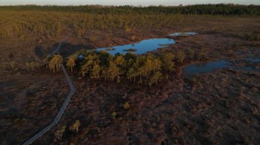 Riisa bataklığının insansız hava aracı görüntüleri. Doğal sulak arazi, göletler ve Estonya 'daki Soomaa Ulusal Parkı' ndaki orman..
