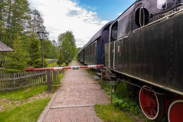 Podlasie, Polonya - 3 Haziran 2021: Bialowieza Towarowa istasyonuna park etmiş tarihi mavi tren vagonları yemyeşil orman ortamında. Sadece editör kullanımı.