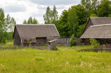 Polonya, Podlasie 'de yemyeşil bir çayırda eski ahşap ahırlar ve yıpranmış çatıları olan ahşap barakalar..