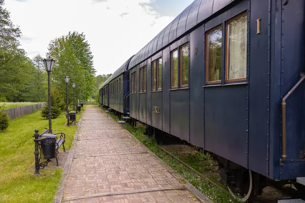 Podlasie, Polonya - 3 Haziran 2021: Bialowieza Towarowa istasyonuna park etmiş tarihi mavi tren vagonları yemyeşil orman ortamında. Sadece editör kullanımı.