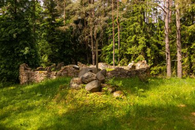 Wierszalin, Podlasie, Polonya 'da yeşil bir ormanda göze çarpan bir haçla taş kalıntıları..