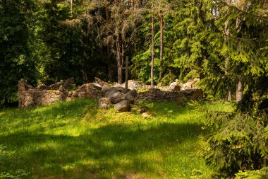 Wierszalin, Podlasie, Polonya 'da yeşil bir ormanda göze çarpan bir haçla taş kalıntıları..