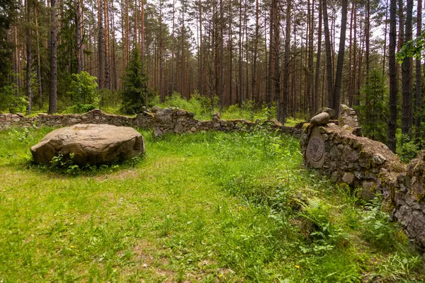 Wierszalin, Podlasie, Polonya 'da yemyeşil ve çam ağaçlarıyla çevrili eski taş duvar.