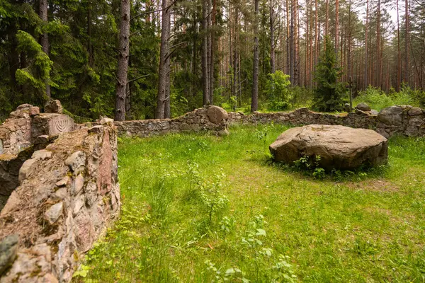 Wierszalin, Podlasie, Polonya 'da yemyeşil ve çam ağaçlarıyla çevrili eski taş duvar.