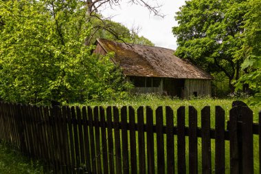 Çatı yıpranmış eski ahşap bir ahır Wierszalin, Podlasie 'de canlı yeşil bitki örtüsüyle çevrili ahşap bir çitin arkasında duruyor. Polonya.