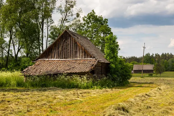 Soce, Podlasie, Polonya 'da bir yaz çayırında geleneksel ahşap ahır. Saman ve ağaçlı taşra manzarası.