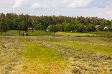 Soce, Polonya - 4 Haziran 2021: Çiftçi arka planda atlar ve ahşap evler olan bir samanlıkta traktör sürüyor.