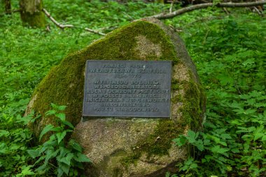 Bialowieza, Polonya 5 Haziran 2021: Bialowieza ormanında botanikçi Wladyslaw Szafer onuruna verilen plaket.