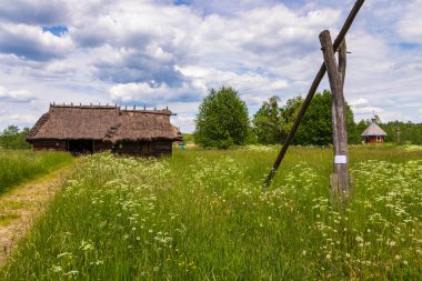 Bialowieza, Polonya - 5 Haziran 2021: Açık hava müzesinde sazdan çatıları olan tarihi ahşap binalar.