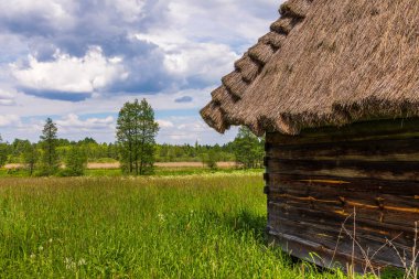Açık hava müzesinde sazdan çatıları olan tarihi ahşap binalar. Bialowieza, Polonya.