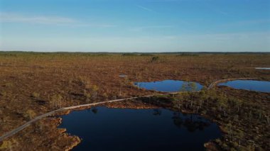 Estonya, Soomaa Ulusal Parkı 'ndaki doğal sulak arazi ve ormanla el değmemiş Kuresoo bataklığının insansız hava aracı görüntüleri..