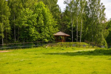 Polonya 'nın Bialowieza kentindeki ormanın yakınındaki bir açıklıkta küçük tahta bir çardak. Güneşli bir günde huzurlu yeşil bir manzara..
