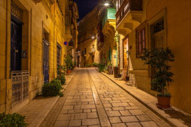 Birgu, Malta 'da sessiz bir sokak. Geleneksel taş binalar ve saksı bitkileri, gece yakalanmış..