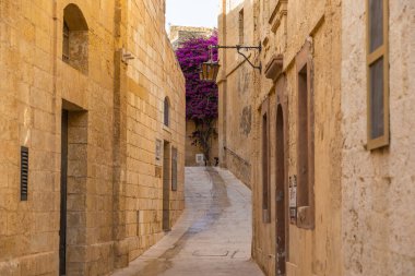 Mdina, Malta - 22 Haziran 2021: Canlı mor bougainvillea parlak mavi kapılar ve kepenklerle kireçtaşı bir cepheye tırmanıyor.