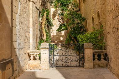 Mdina, Malta 'daki Casa Isabella' ya zarif bir giriş. Dekoratif dövmeli demir kapı ve yemyeşil bir yer..