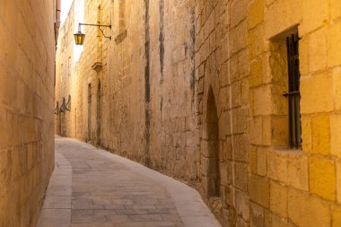 Mdina, Malta - 22 Haziran 2021: Turistler ve tarihi Mdina Kapısı 'nda taş duvarlar ve yakınlarındaki eski toplarla birlikte bir at arabası.