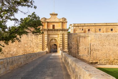 Mdina, Malta - 22 Haziran 2021: Geleneksel mavi panjurlu taş cephe, süslü demircilik ve tırmanan kırmızı çiçekler.