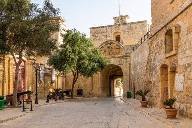 Mdina, Malta - 22 Haziran 2021: Geleneksel mavi panjurlu taş cephe, süslü demircilik ve tırmanan kırmızı çiçekler.