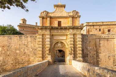 Mdina, Malta - 22 Haziran 2021: Geleneksel mavi panjurlu taş cephe, süslü demircilik ve tırmanan kırmızı çiçekler.