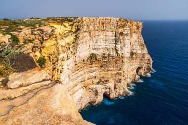 Mavi Akdeniz 'e düşen sarp kireçtaşı uçurumlarının panoramik manzarası. Kıyı bitkileri ve kayalık kıyılarda yetişen agave bitkileri..