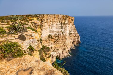 Mavi Akdeniz 'e düşen sarp kireçtaşı uçurumlarının panoramik manzarası. Kıyı bitkileri ve kayalık kıyılarda yetişen agave bitkileri..