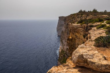Mavi Akdeniz 'e düşen sarp kireçtaşı uçurumlarının panoramik manzarası. Kıyı bitkileri ve kayalık kıyılarda yetişen agave bitkileri..