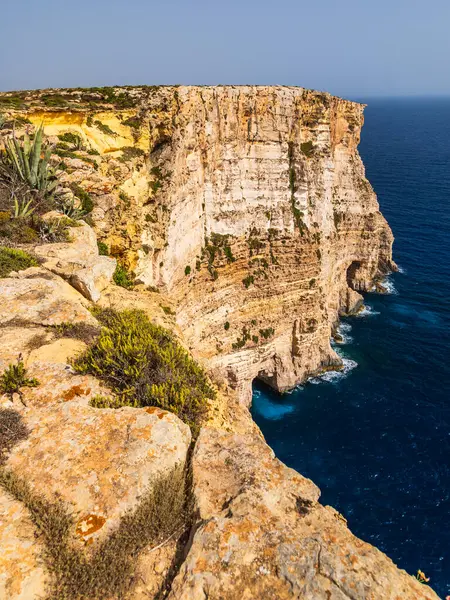 Mavi Akdeniz 'e düşen sarp kireçtaşı uçurumlarının panoramik manzarası. Kıyı bitkileri ve kayalık kıyılarda yetişen agave bitkileri..