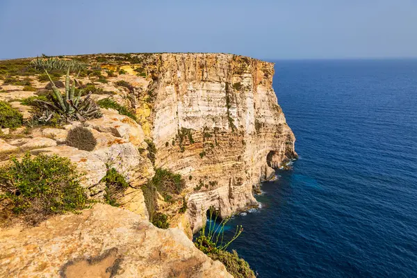 Mavi Akdeniz 'e düşen sarp kireçtaşı uçurumlarının panoramik manzarası. Kıyı bitkileri ve kayalık kıyılarda yetişen agave bitkileri..