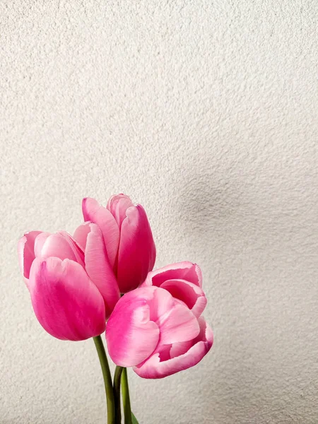Rosa Tulpen Vertikales Foto Mit Biege Hintergrund Frühlings Oder Muttertagskonzept — Stockfoto