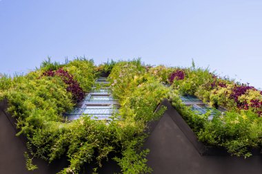 Çağdaş bina, bitkiler ve çiçekler ön cephede. Biyofilik yaşam, dikey bahçe, dış görünüşü bitkilerle süslenmiş. Taze ve ekoloji kavramı.